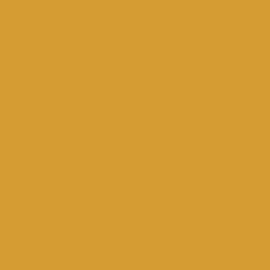 B73 - Mango